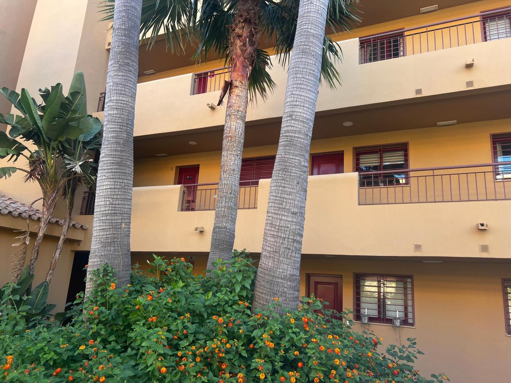 La Cala 2Bed Apt With Sea View And Pool 라칼라데미야스 외부 사진
